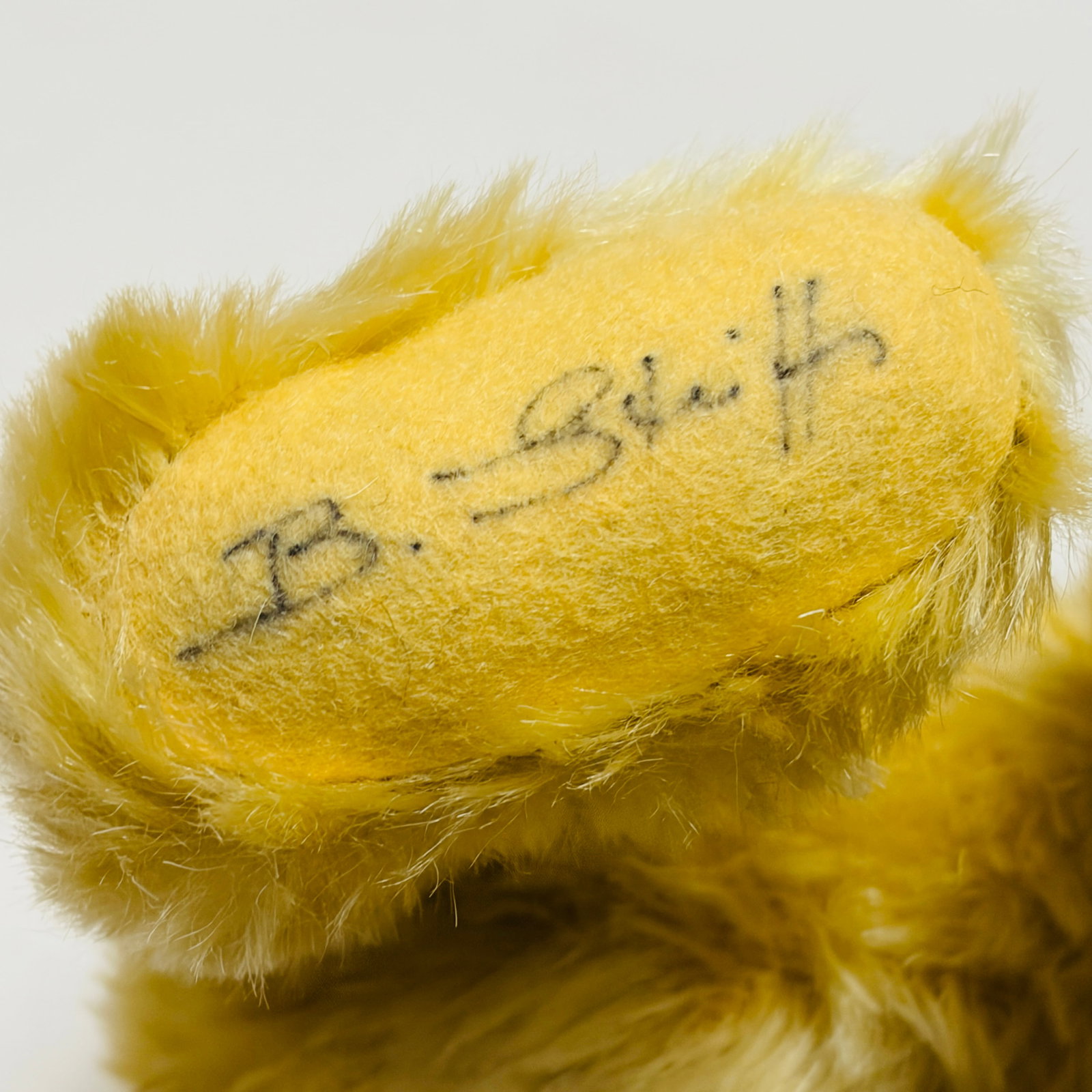 Steiff Original Teddy Bear, Signed - 6