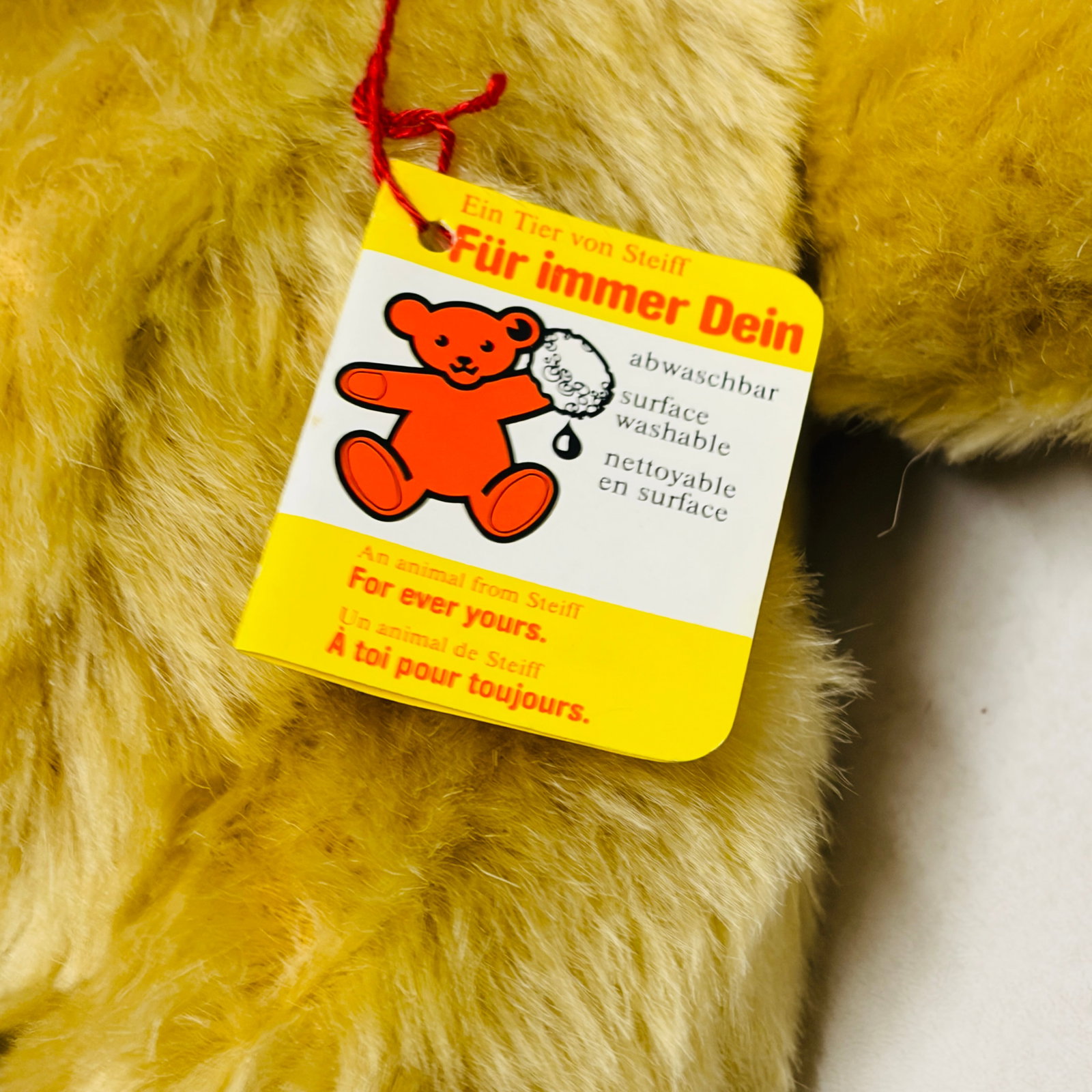 Steiff Original Teddy Bear, Signed - 8