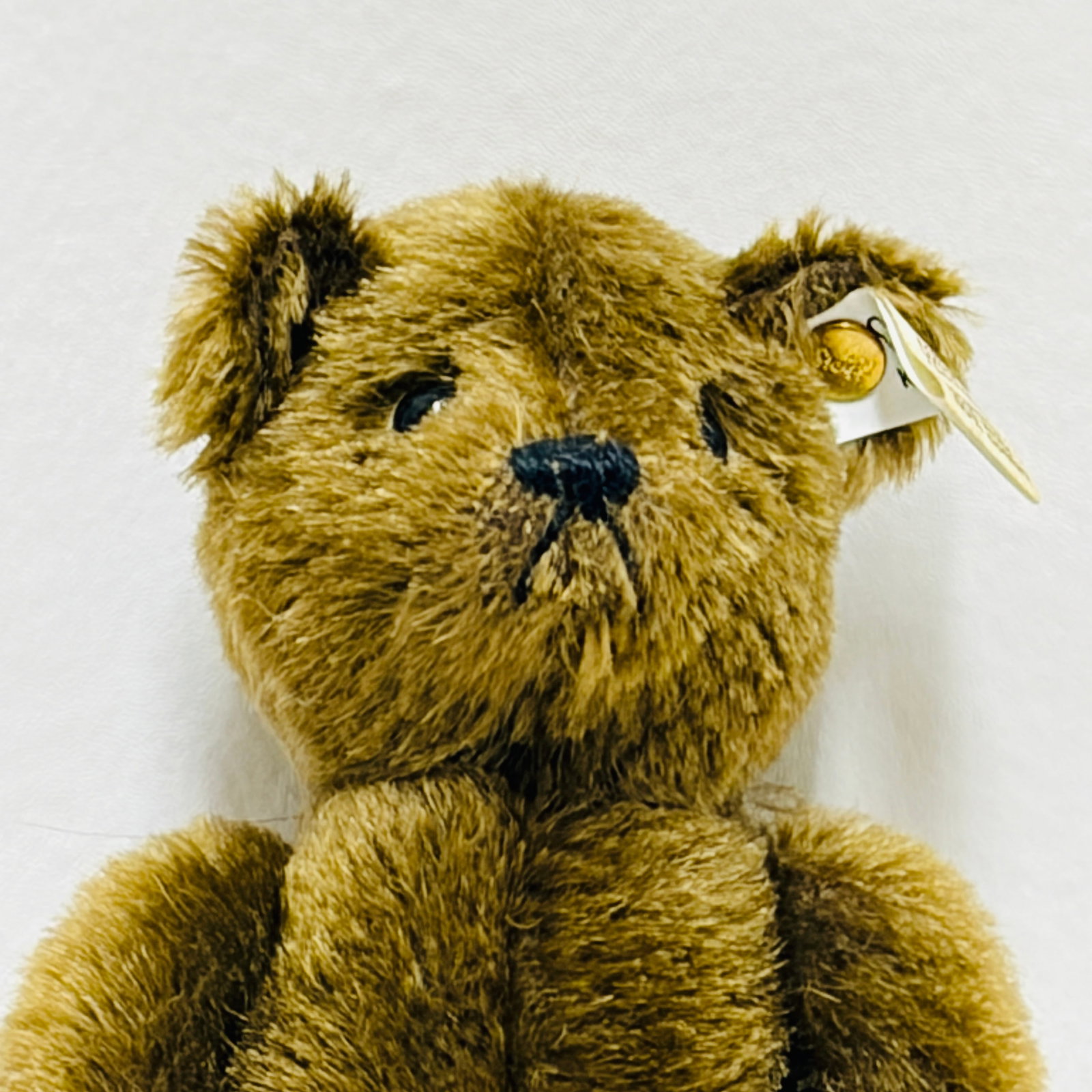 Signed Steiff Teddy Bear - 2