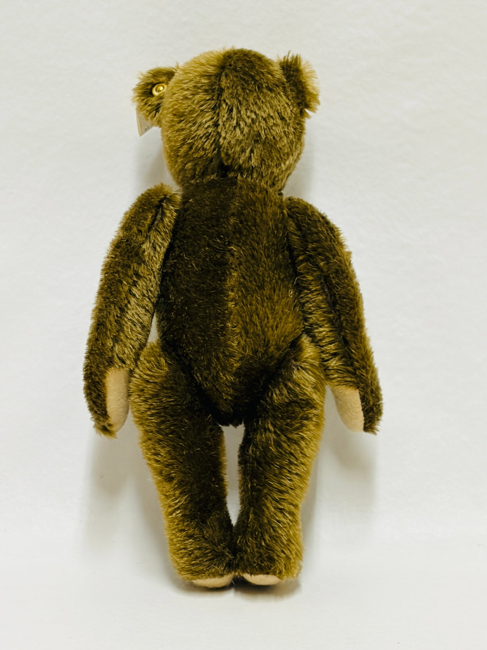 Signed Steiff Teddy Bear - 3