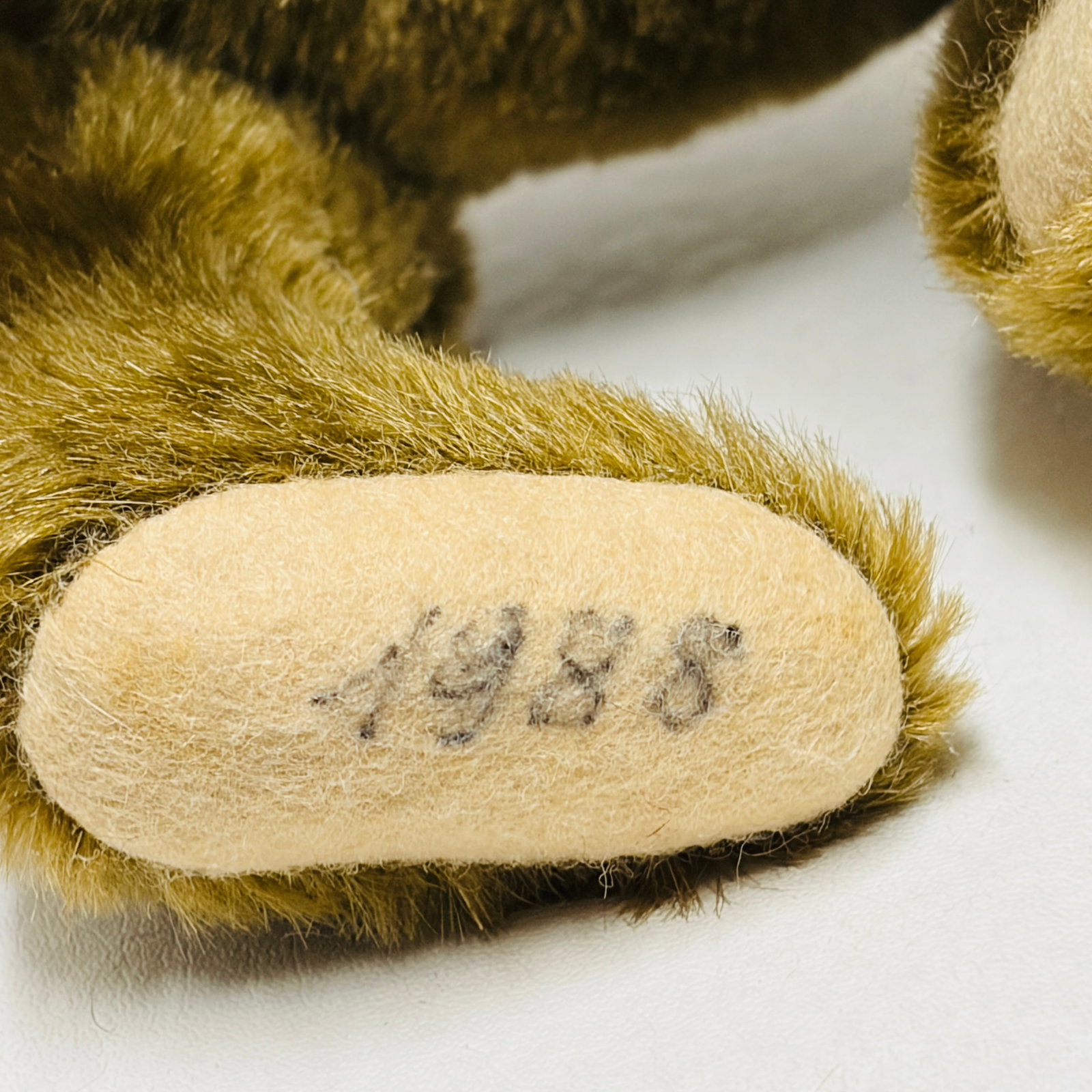 Signed Steiff Teddy Bear - 5