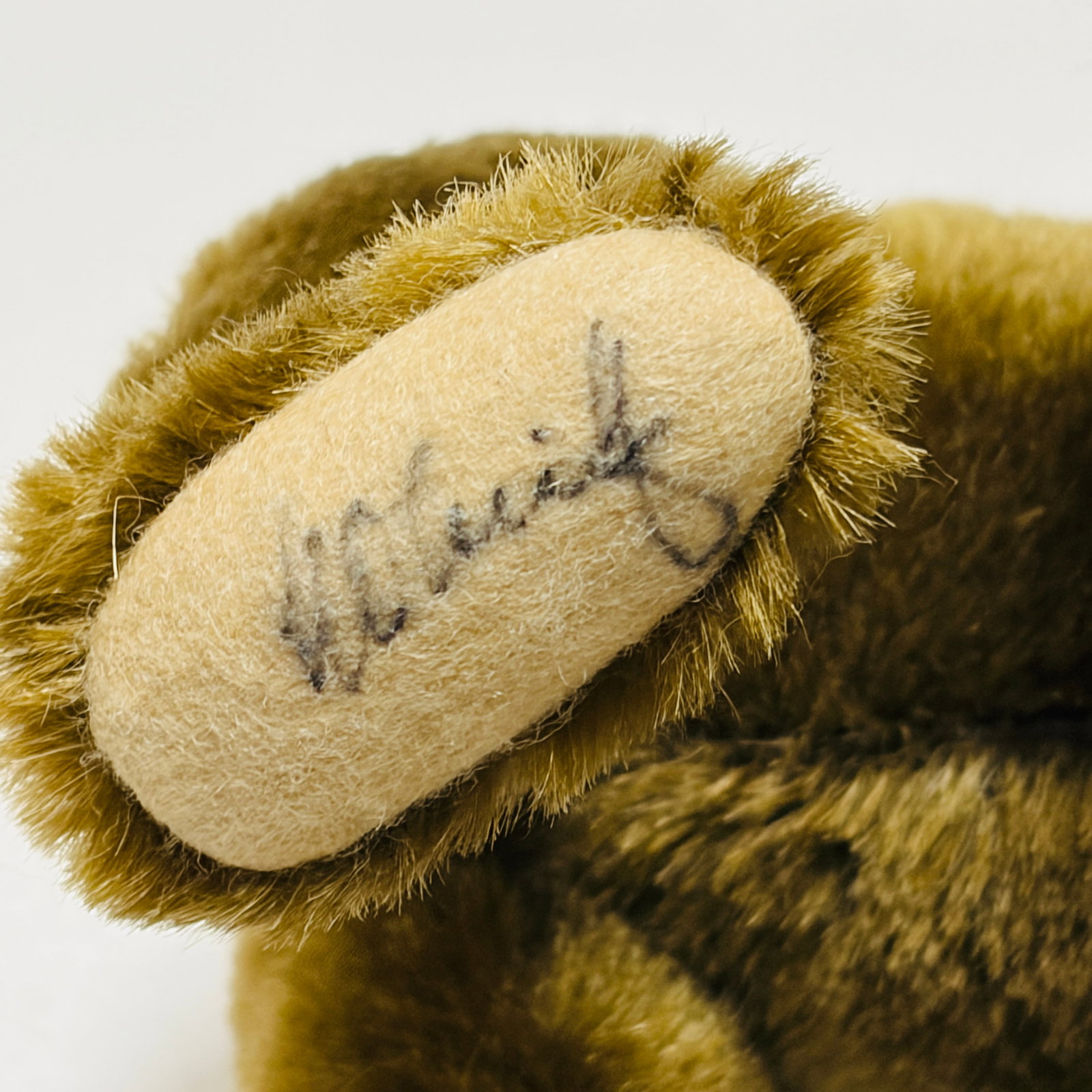 Signed Steiff Teddy Bear - 6