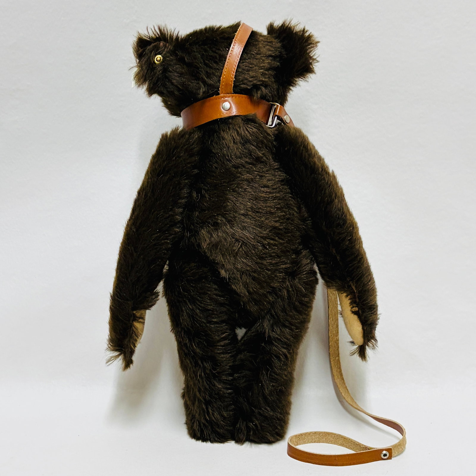 Steiff 1908 Muzzle Bear, Limited Edition, replica - 4