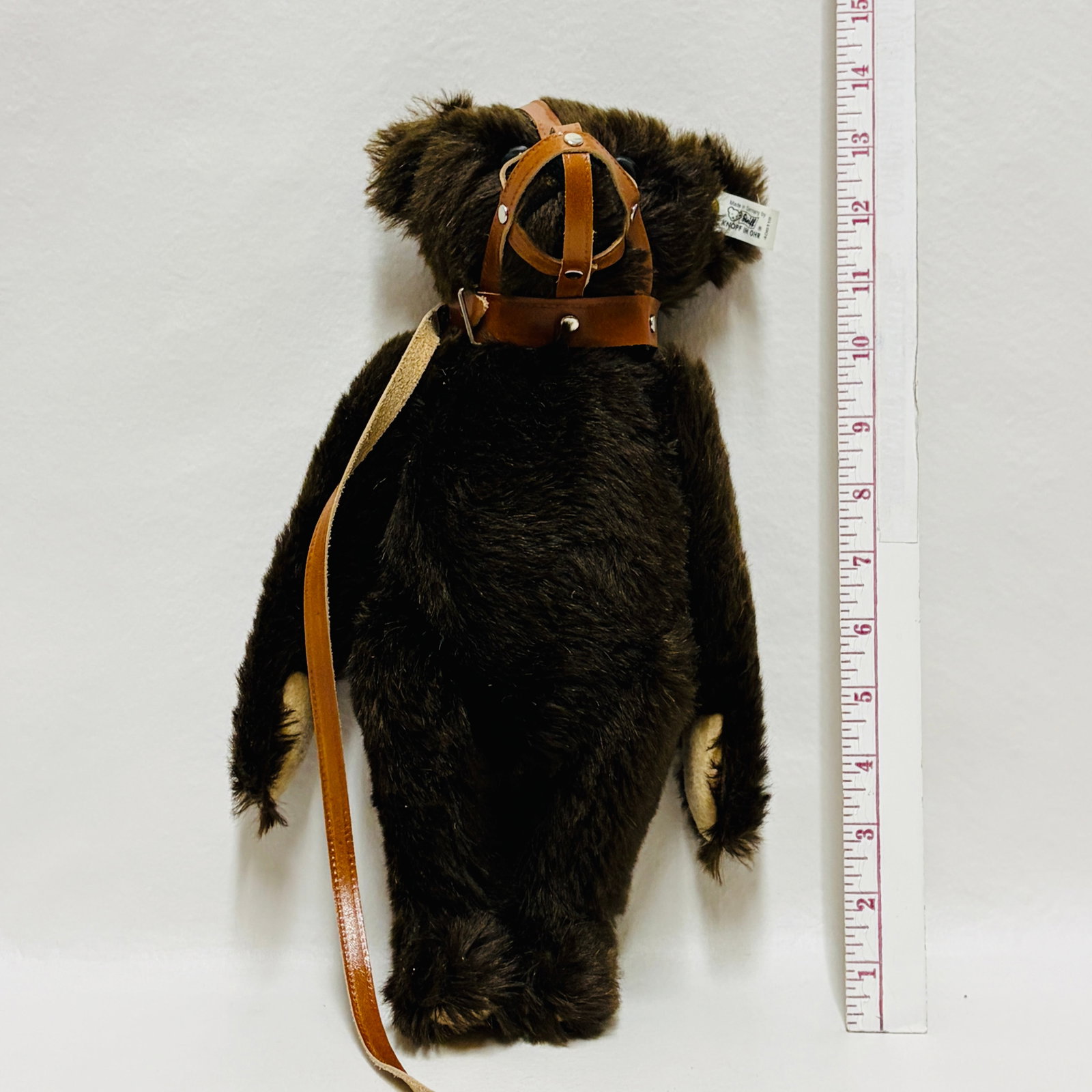 Steiff 1908 Muzzle Bear, Limited Edition, replica - 6