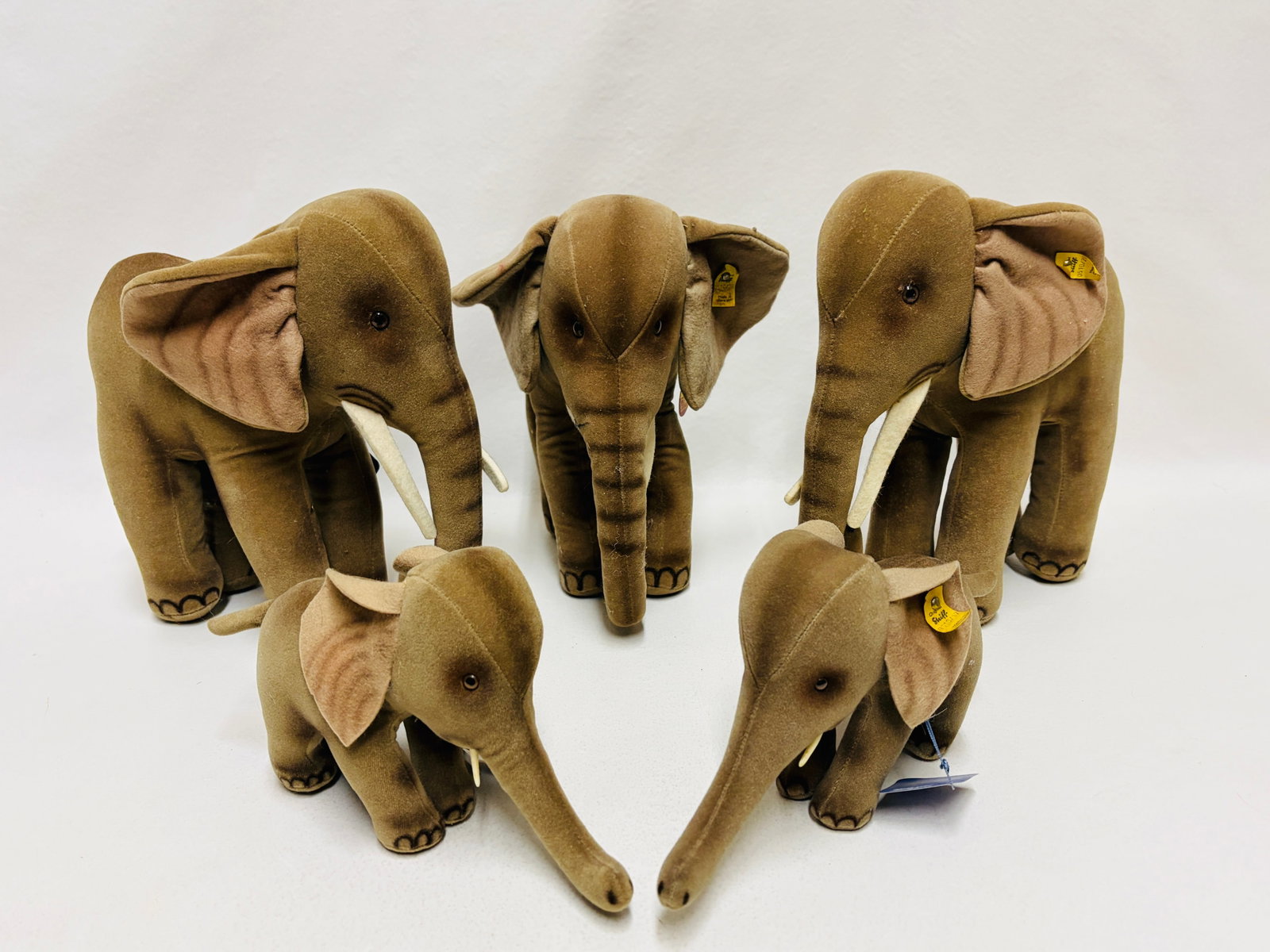 Group of Five Steiff Elephants Trampy: Group of Five Steiff Elephants Trampy ------------------ please review all pictures carefully because they are part of the description and show condition issues if any ------------------ please