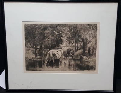 Edward Percy Moran Etching " Cows Watering": An etching signed P Moran on the bottom right. A scene with a family of cows watering while a lady watches from a distance. Signt 8 3/8" X 12" and frame 15 1/4" X 18 1/4".