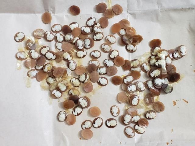 Large Group of Carved Shell Cameos (1 of 4)