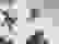 item-81476285=3