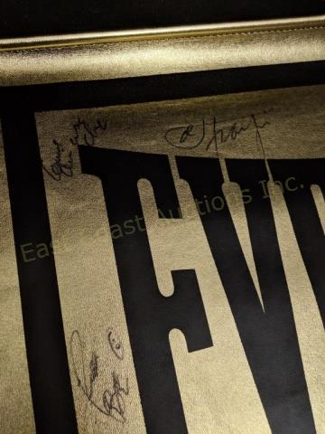 Everlast Boxing Banner W/ 9 Signatures; Ali, Tyson: Everlast U.S.A. Boxing Banner, signed by 9 Legends of the Ring! The glove was signed by the following: Muhhamad Ali "AKA Casius Clay", Mike Tyson, George Foreman, Larry Holmes, Evander Holyfiled, Ken