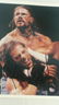 Lot of 8 Autographed Wrestling Photos - 3