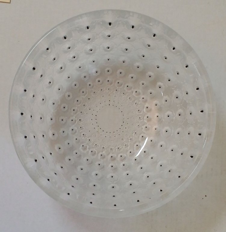 Lalique Owl's eye bowl: 10" round