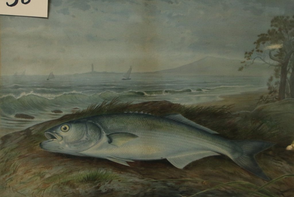 Samuel A. Kilbourne 1878 "The Bluefish": Antique print titled "The Bluefish", 14" X 20.5". water damage