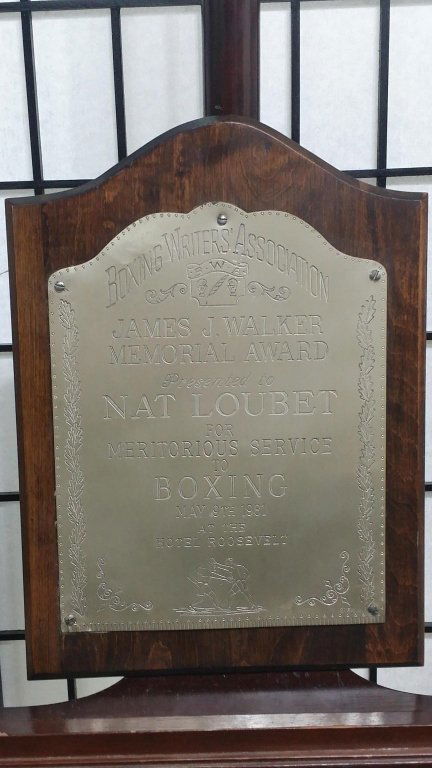 Sterling Silver Boxing Award (1 of 3)