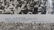 Antique Panoramic Boxing Photo Jeffries Johnson - 2