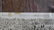 Antique Panoramic Boxing Photo Jeffries Johnson - 3