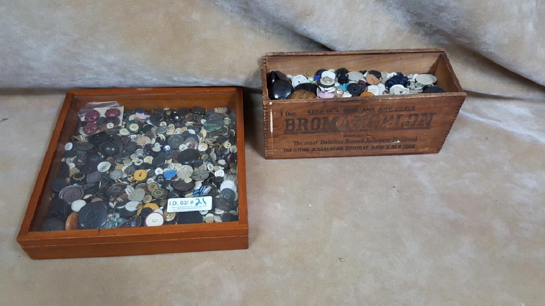 Large Estate Button Collection (1 of 1)