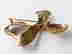 item-51113184=3