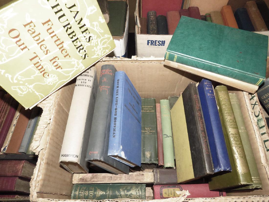 BOOK LOT WALL STREET & THE WILDS, ASST NOVELS/DRAMAS (1 of 1)