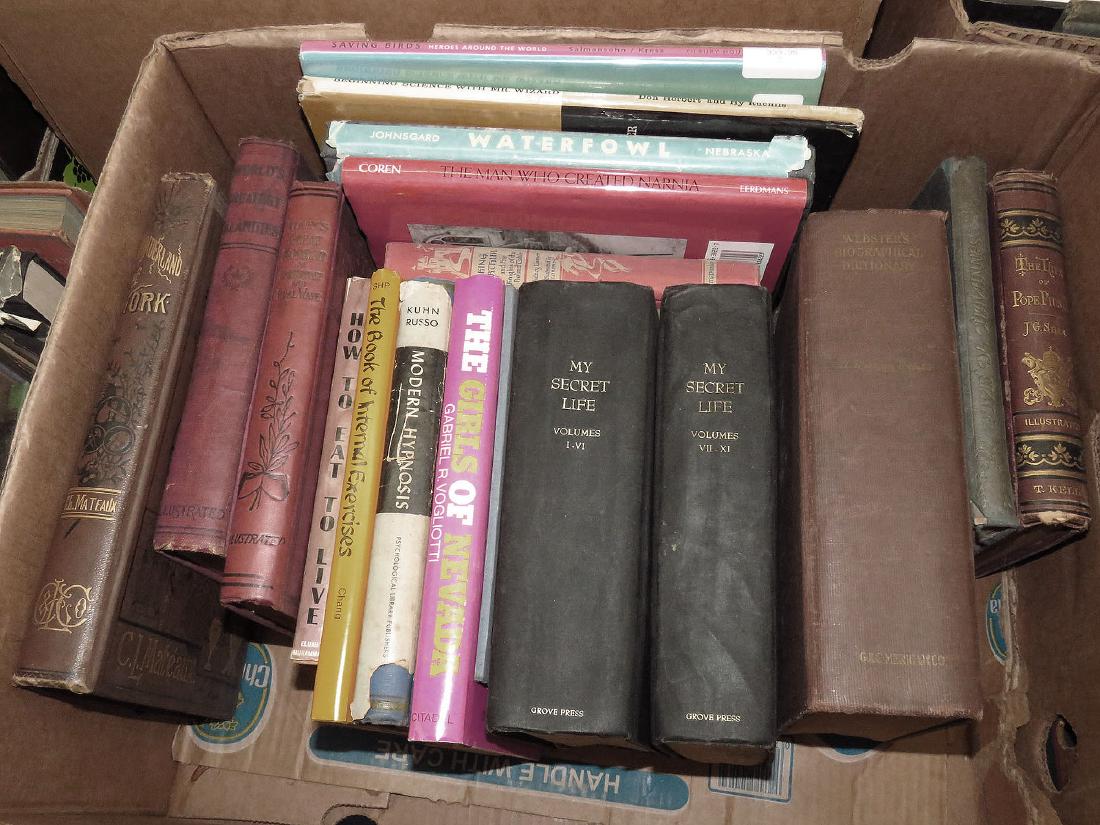 BOOK LOT LIFE OF POPE PIUS IX, MY SECRET LIFE & OTHERS (1 of 1)