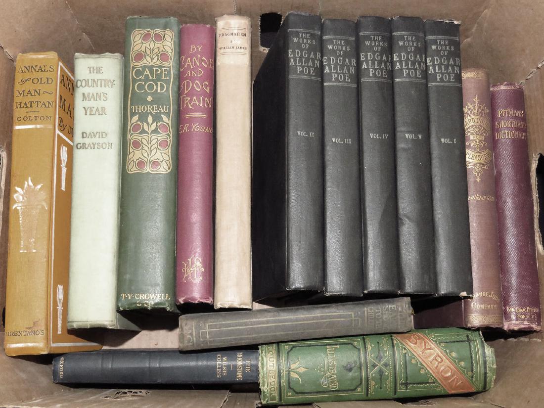 BOOK LOT WORKS OF EDGAR ALLAN POE & OTHER ASST NOVELS (1 of 1)