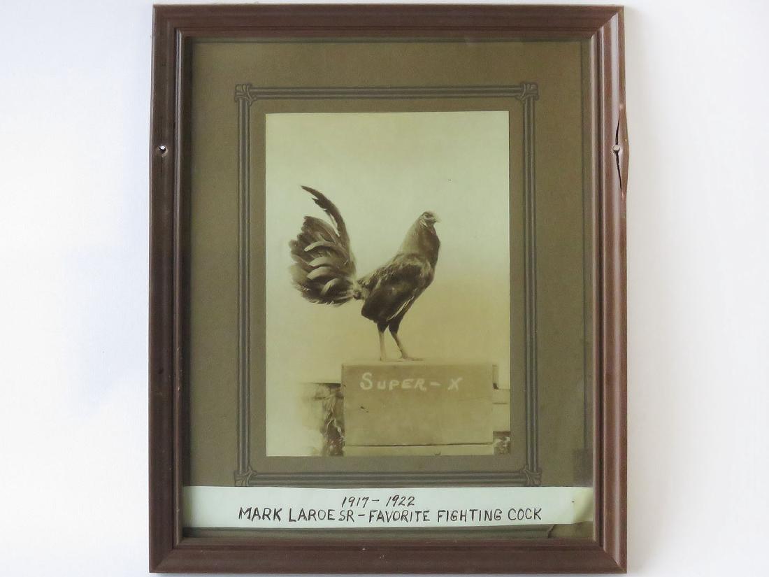 SEPIATONE PHOTO "FIGHTING COCK" MARK LAROE 1900'S (1 of 3)