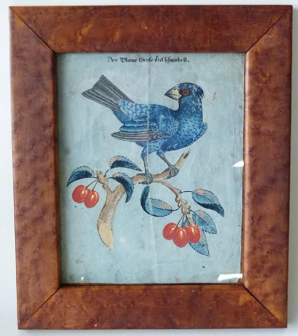 W/C GOUACHE BLUE GROSBEAK ON CHERRY BRANCH (1 of 13)