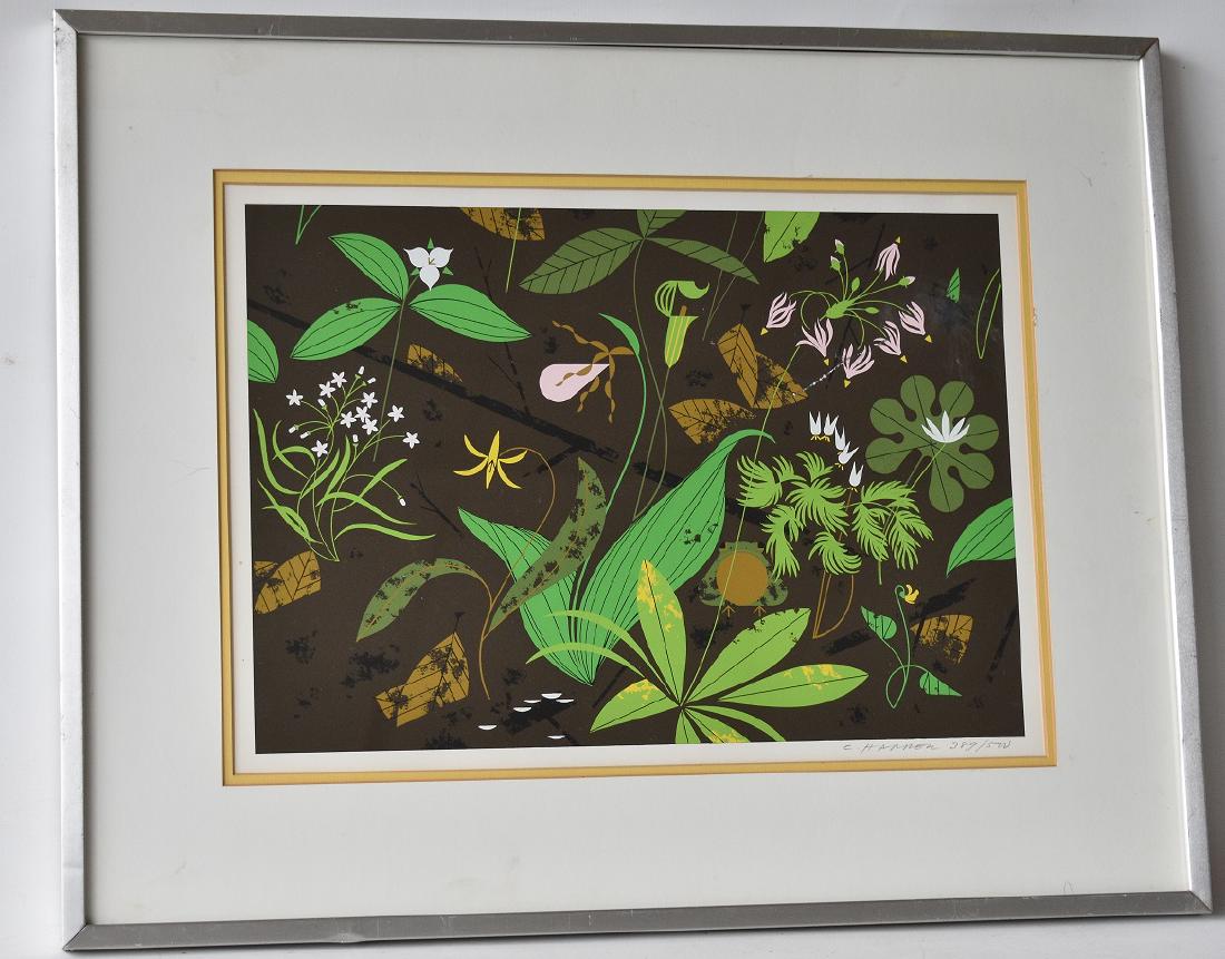 LITHOGRAPH BELL FLOWERS SIGNED C.HARPER (1 of 9)