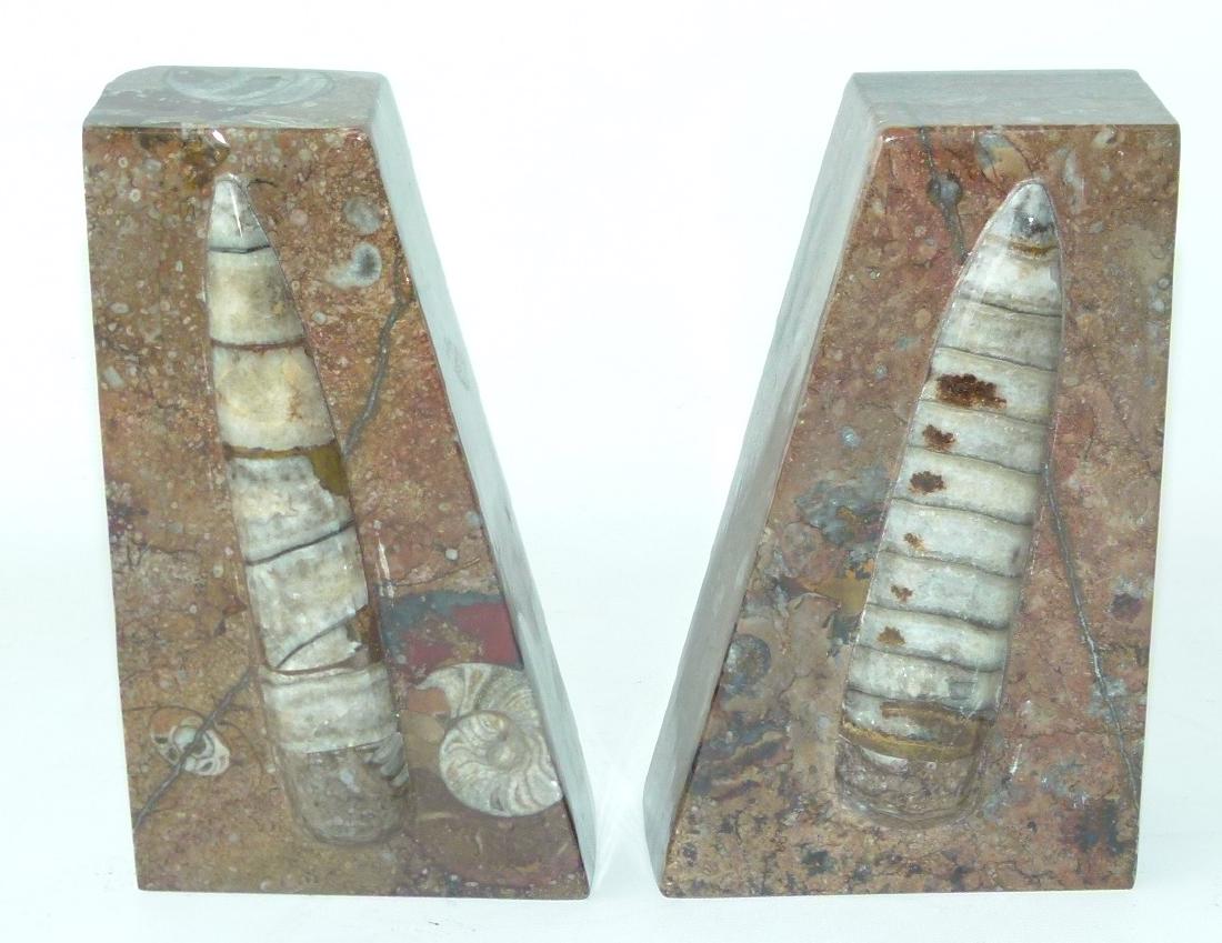 AMMONITE FOSSIL CARVED BOOK ENDS (1 of 7)