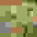 item-64265040=4