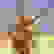 item-64265040=7