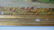 O/B WOODED LANDSCAPE SIGNED ETHEL PAXSON - 8