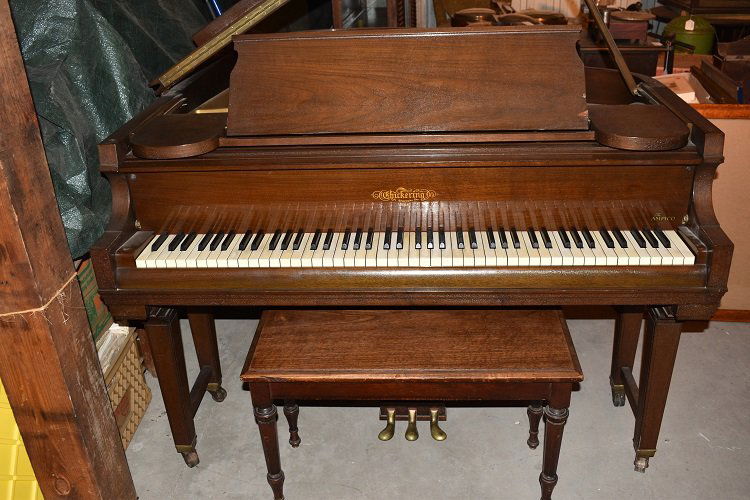 CHICKERING MAHOG. BABY GRAND PIANO, SER. #139259: CHICKERING MAHOGANY BABY GRAND PIANO, SER. #139259