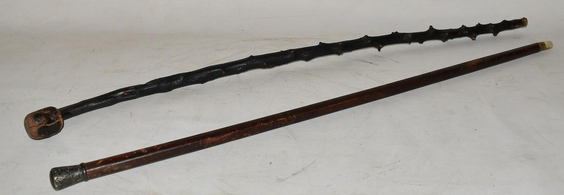 LOT (2) DECO/IRISH WALKING STICKS (STERLING CAP) (1 of 9)