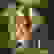 item-89407570=2