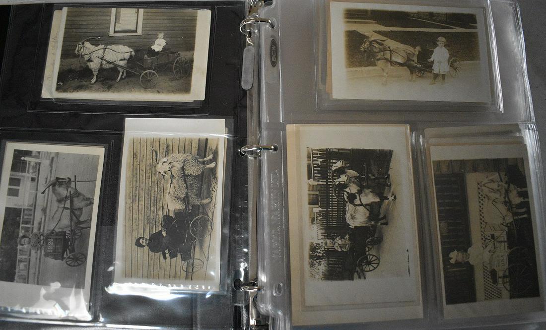 APPROX. 108 ASST. GOAT CART POSTCARDS, 20TH C. (1 of 17)