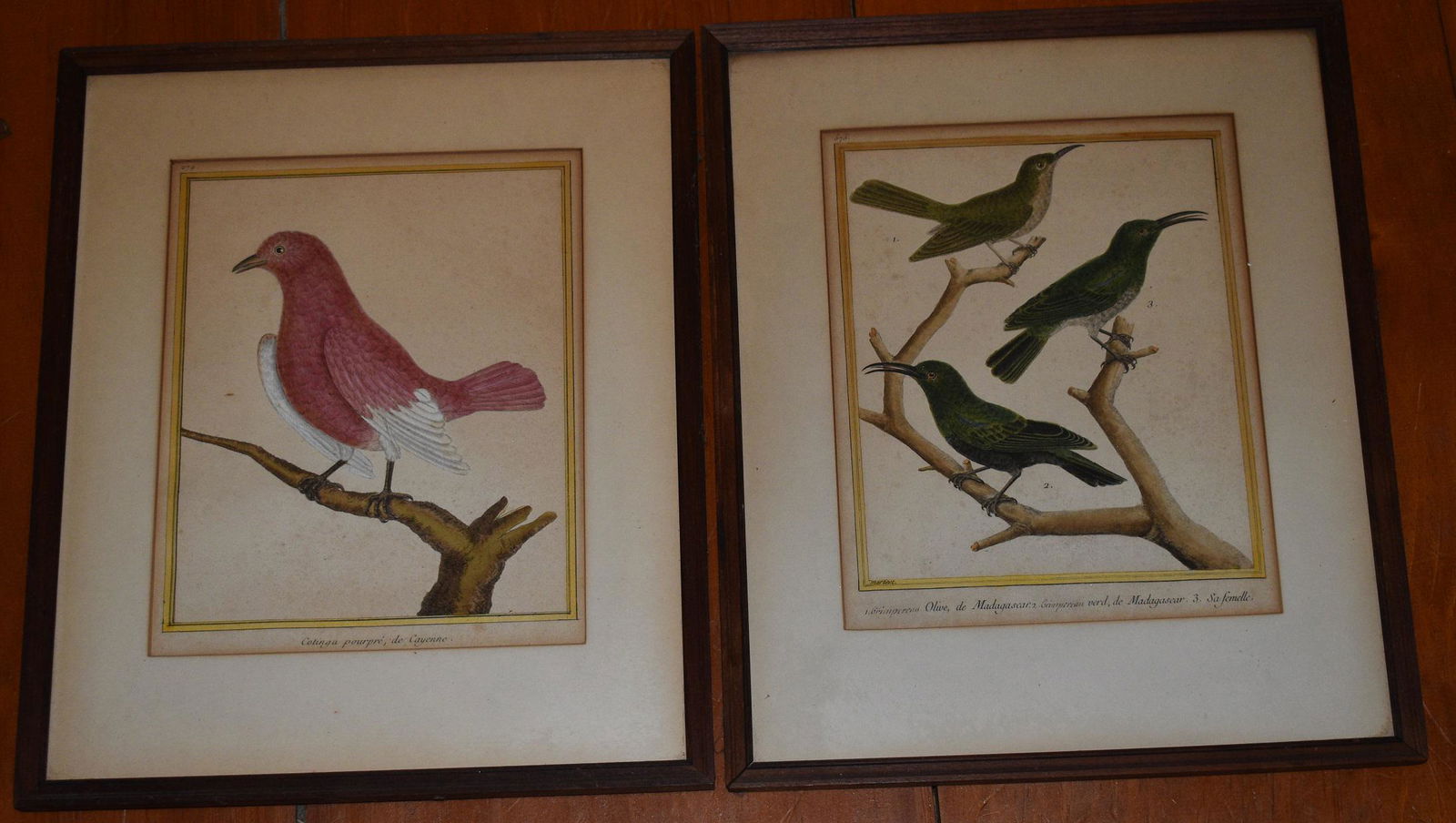 LOT (2) H/C ENGRAVINGS MADAGASCARS-CONTINGA, 18TH C. (1 of 9)