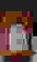 item-101597313=2
