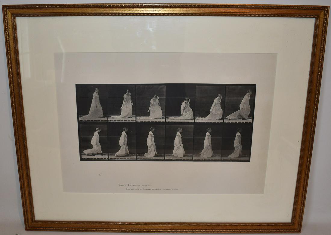 PRINT "ANIMAL LOCOMOTION" BY EADWEARD MUYBRIDGE 1887 (1 of 11)