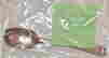 item-111236832=2