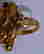 item-111237163=6