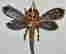 item-111237165=7