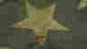 item-111237323=7
