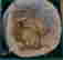 item-120311281=10