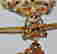 item-120311537=3