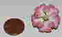 item-120311704=2
