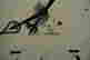 item-127363250=3