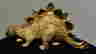 item-127363482=3
