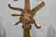 item-127363622=4