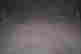 item-136225840=17