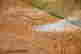 item-136225915=3